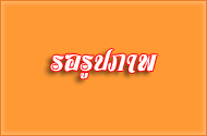 ผลิตภัณฑ์จากใบลาน