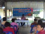 โครงการผักปลอดสารพิษ พิชิตโรค ประจำปี 2556